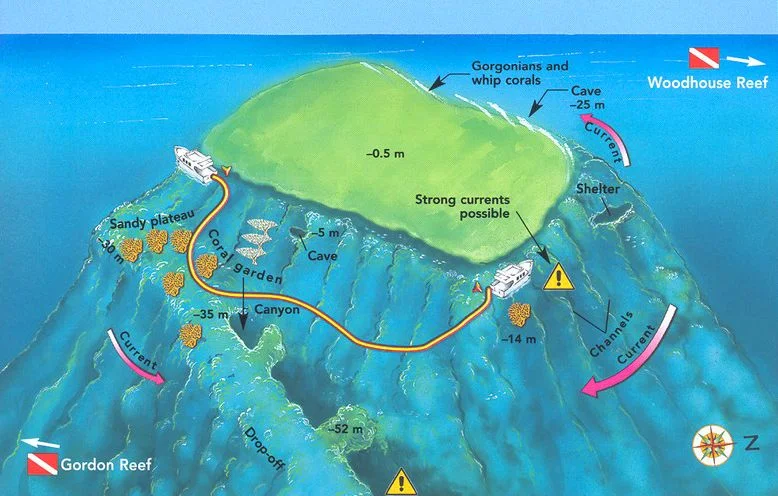 Thomas Reef dive map