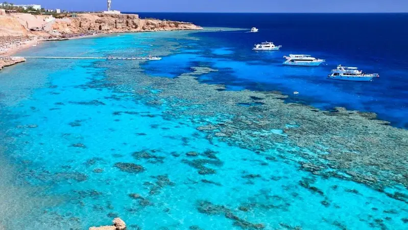 The Local Dive Sites