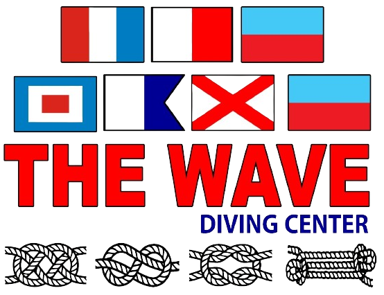 The Wave Diving Center